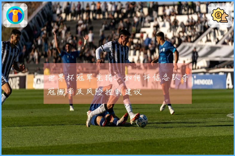 世界杯冠军竞猜：如何评估各队夺冠概率及风险控制建议