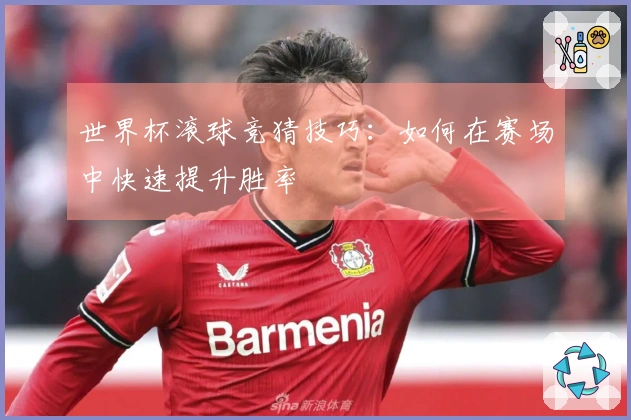 世界杯滚球竞猜技巧：如何在赛场中快速提升胜率