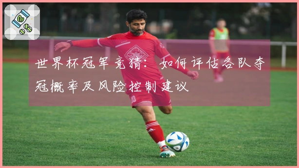 世界杯冠军竞猜：如何评估各队夺冠概率及风险控制建议