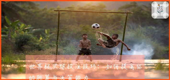 世界杯买球投注技巧：如何提高你的胜算与决策能力